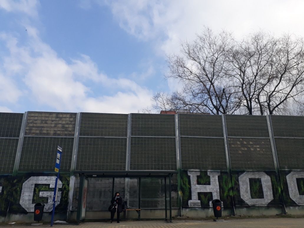 Usterki i wady ekranów typu "zielona ściana"
