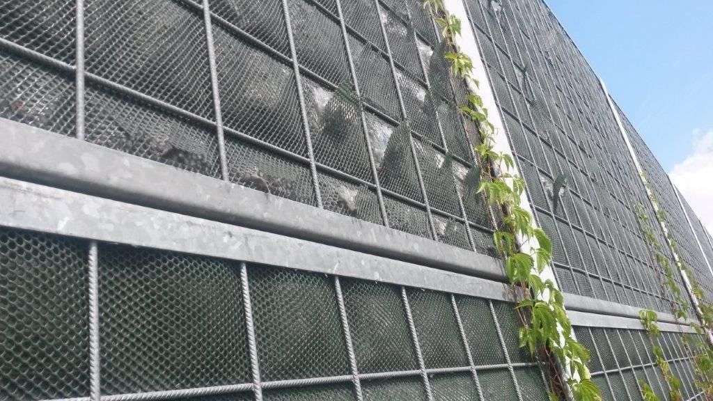 Usterki i wady ekranów typu "zielona ściana"
