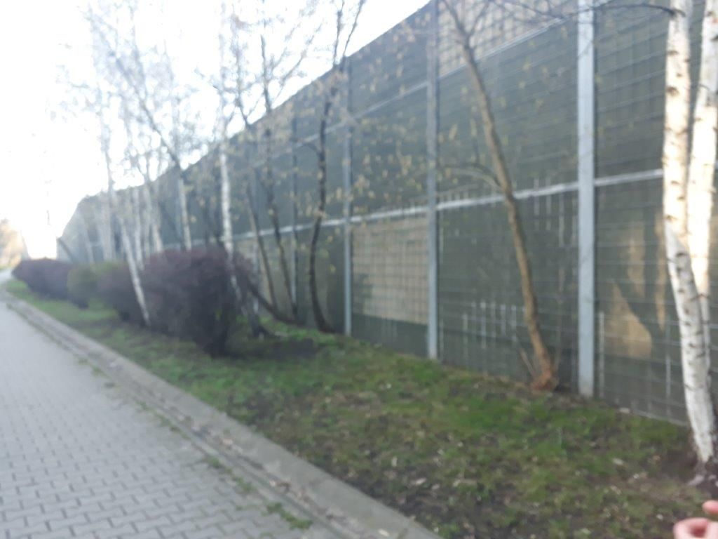 Usterki i wady ekranów typu "zielona ściana"