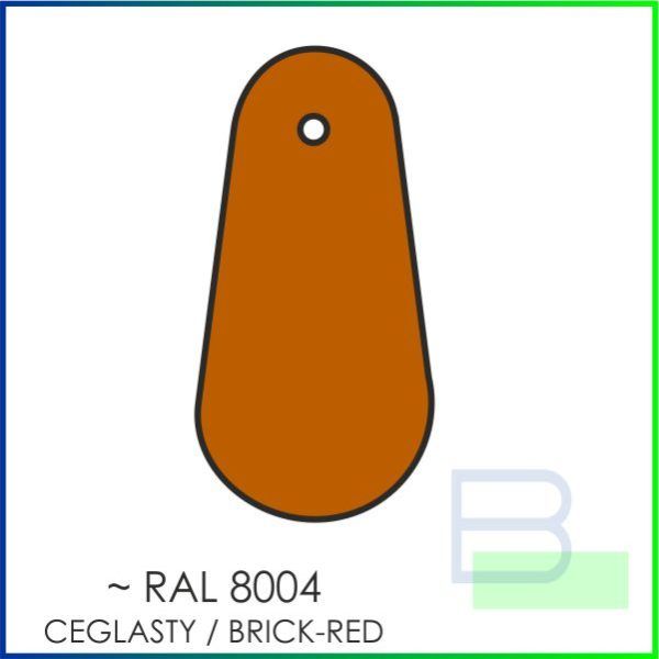 Kolor blachy RAL 8004
