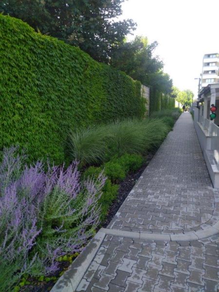 Zielone ogrodzenie akustyczne z pnączami  osiedla Tęczowa